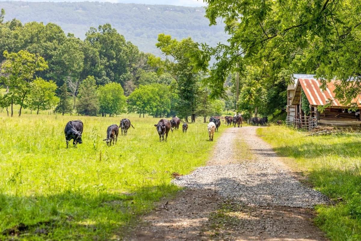 Farm Stay W Pool - 15 Mins To Chattanooga- Tiny 2 Wildwood  Exterior photo