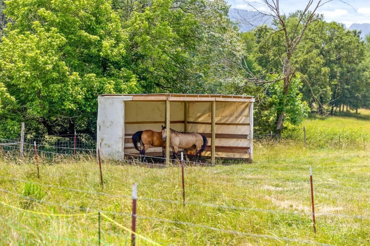 Farm Stay W Pool - 15 Mins To Chattanooga- Tiny 2 Wildwood  Exterior photo